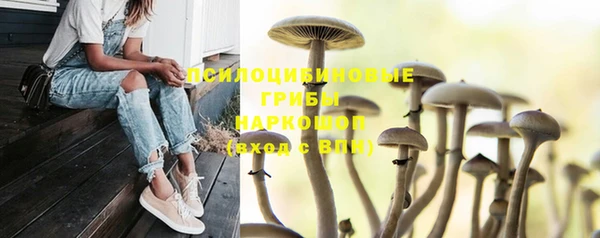 мескалин Иннополис