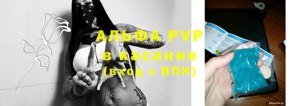 эйфоретик Инта