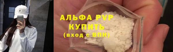 эйфоретик Инта