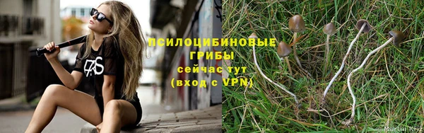 мескалин Иннополис