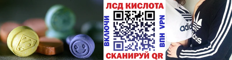 Купить закладки  Дятьково  Лсд 25 экстази ecstasy 