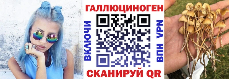 Галлюциногенные грибы мухоморы  Купить закладки  Дятьково 